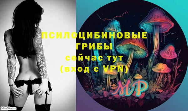 ГАЛЛЮЦИНОГЕННЫЕ ГРИБЫ Алексеевка