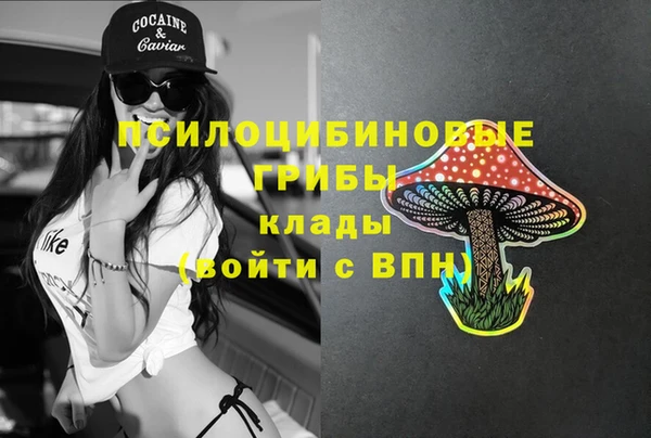 ГАЛЛЮЦИНОГЕННЫЕ ГРИБЫ Алексеевка