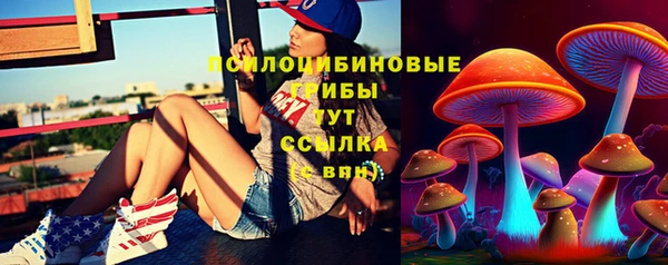 ALPHA PVP Алексин